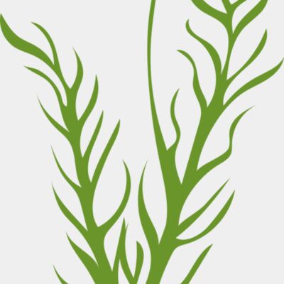Leaves 8 Thumbnail