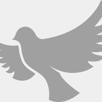 Dove Thumbnail