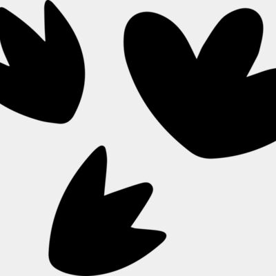 Floating Petals Thumbnail