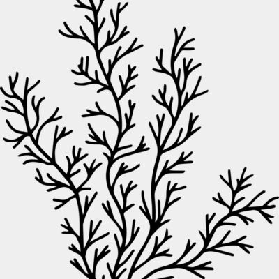 Herb Sprig Thumbnail