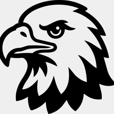 Bald Eagle Head Thumbnail