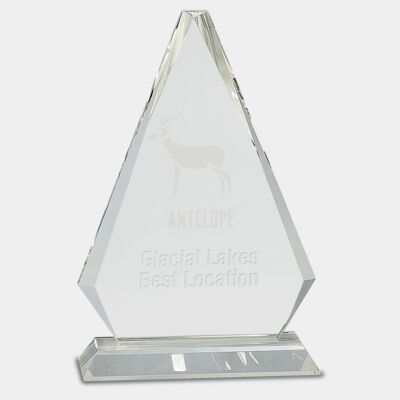 CRY69 Triangle Award  Thumbnail