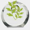 [CRY169] 4.5" Round Crystal Clock Thumbnail