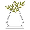 CRY69 Triangle Award  Thumbnail