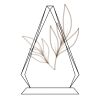 CRY69 Triangle Award  Thumbnail