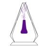 CRY69 Triangle Award  Thumbnail