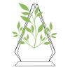 CRY69 Triangle Award  Thumbnail