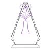 CRY69 Triangle Award  Thumbnail