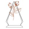 CRY69 Triangle Award  Thumbnail