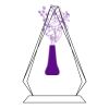 CRY69 Triangle Award  Thumbnail