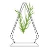 CRY69 Triangle Award  Thumbnail