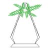 CRY69 Triangle Award  Thumbnail