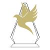 CRY69 Triangle Award  Thumbnail