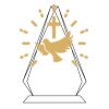 CRY69 Triangle Award  Thumbnail