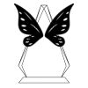 CRY69 Triangle Award  Thumbnail