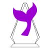 CRY69 Triangle Award  Thumbnail