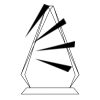 CRY69 Triangle Award  Thumbnail