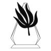 CRY69 Triangle Award  Thumbnail