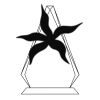 CRY69 Triangle Award  Thumbnail