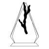 CRY69 Triangle Award  Thumbnail
