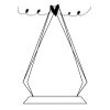 CRY69 Triangle Award  Thumbnail