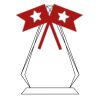 CRY69 Triangle Award  Thumbnail