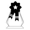 CRY69 Triangle Award  Thumbnail