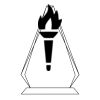 CRY69 Triangle Award  Thumbnail