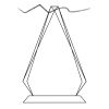 CRY69 Triangle Award  Thumbnail