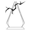 CRY69 Triangle Award  Thumbnail