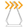 CRY69 Triangle Award  Thumbnail