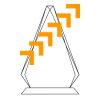 CRY69 Triangle Award  Thumbnail