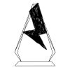 CRY69 Triangle Award  Thumbnail