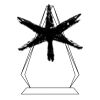 CRY69 Triangle Award  Thumbnail