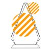 CRY69 Triangle Award  Thumbnail